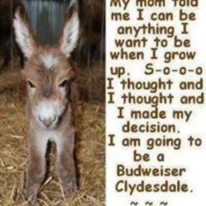 Meet your Posher, Christi